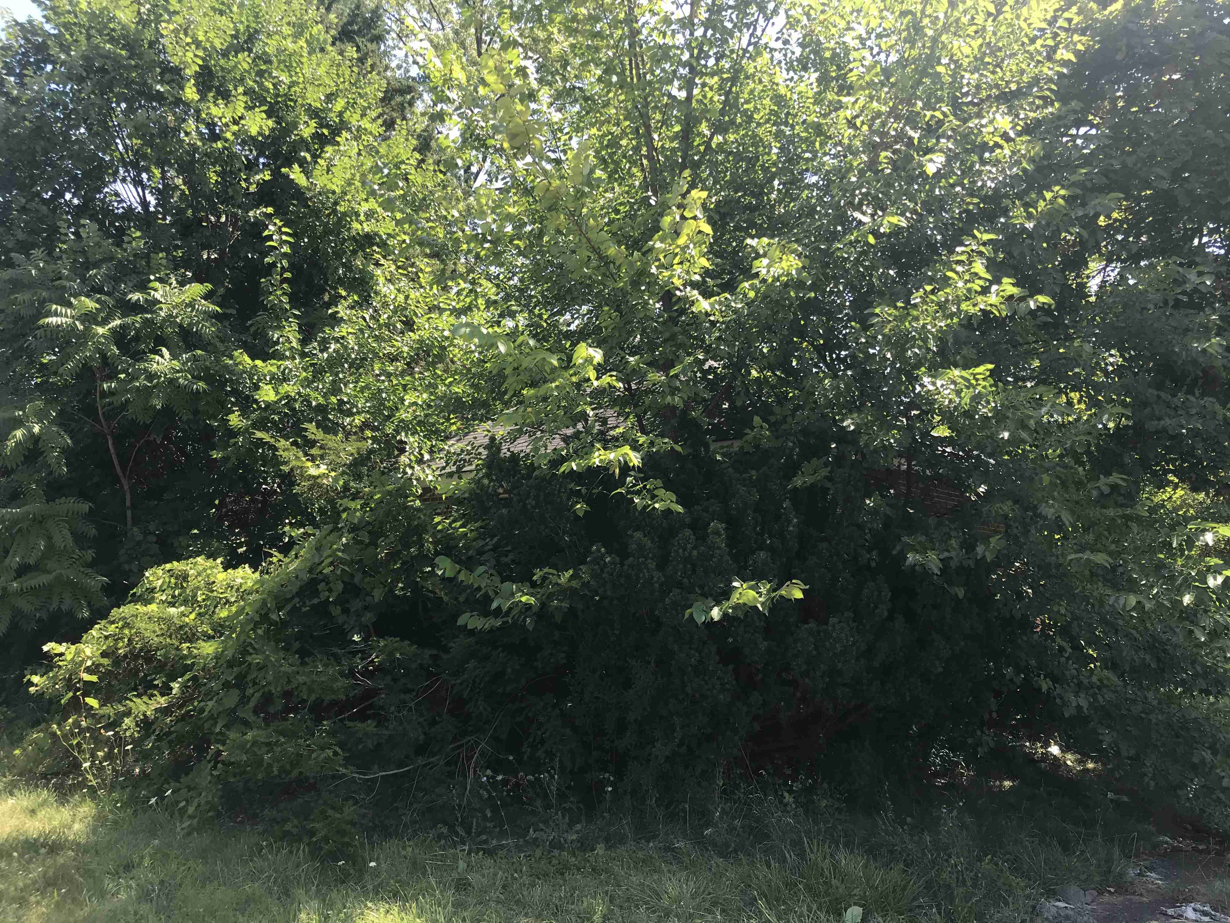 Photo Aug 21, 1 12 24 PM.jpg